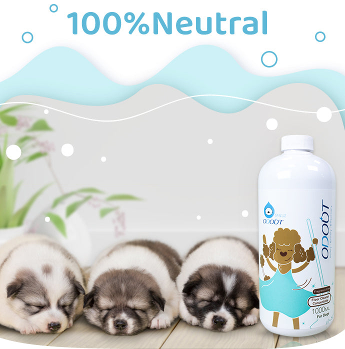 ODOUT Multi Surface Floor Cleaner 1L Dog Formula