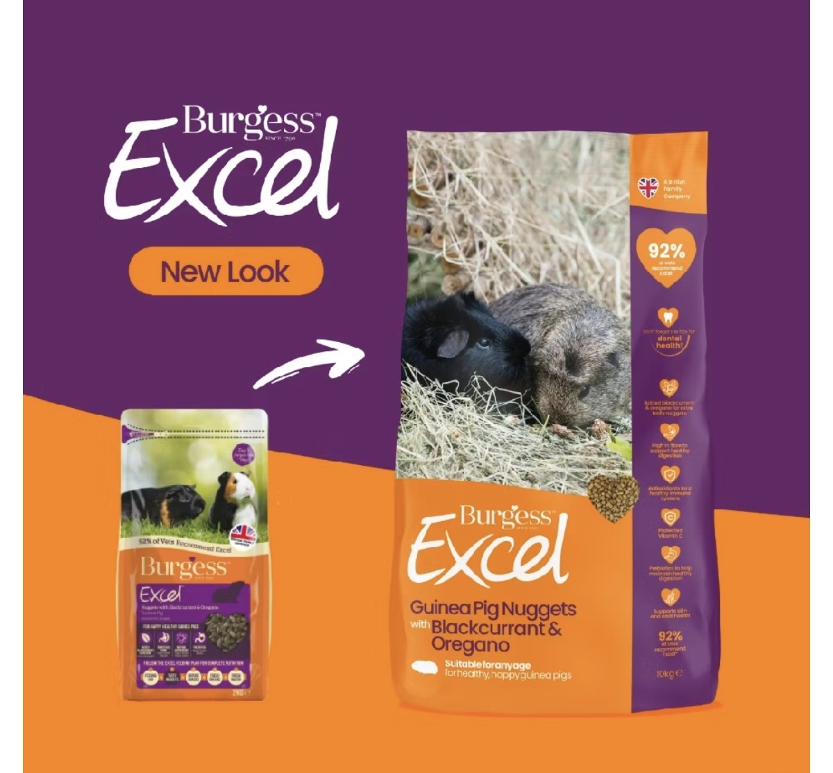 Burgess Excel Guinea Pig Nuggets with Blackcurrant & Oregano 1.5kg
