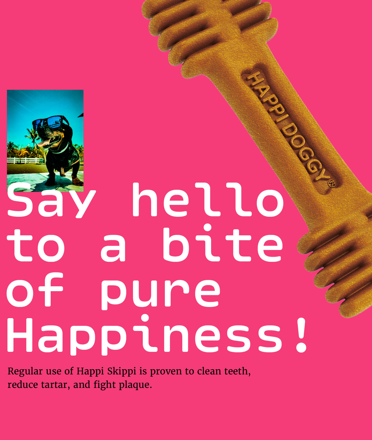 Happi Doggy Dental Chews – Petite 150g