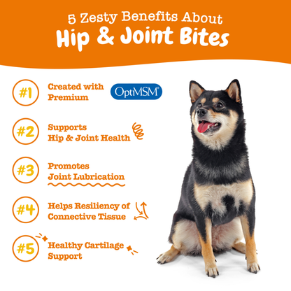 Zesty Paws Functional Bites for Dogs – 90 Soft Chew