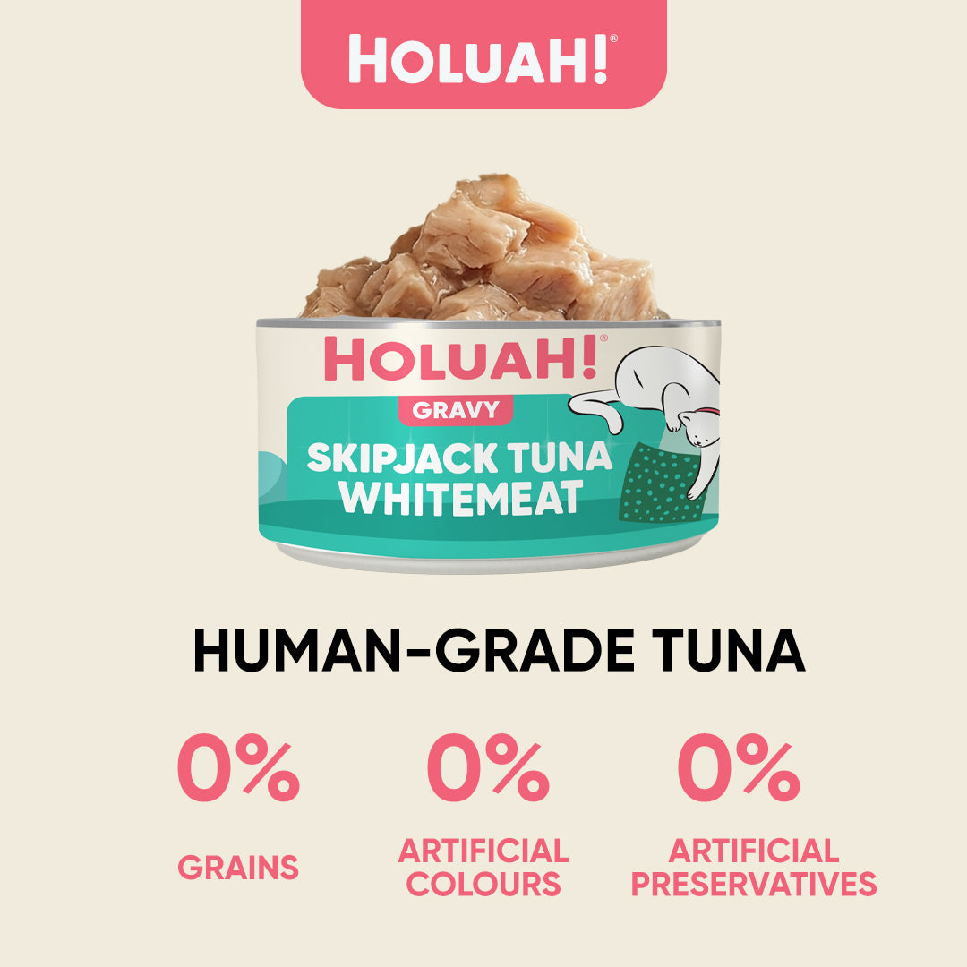 Holuah! Gravy Cat Canned Food 80g – Tuna Recipes