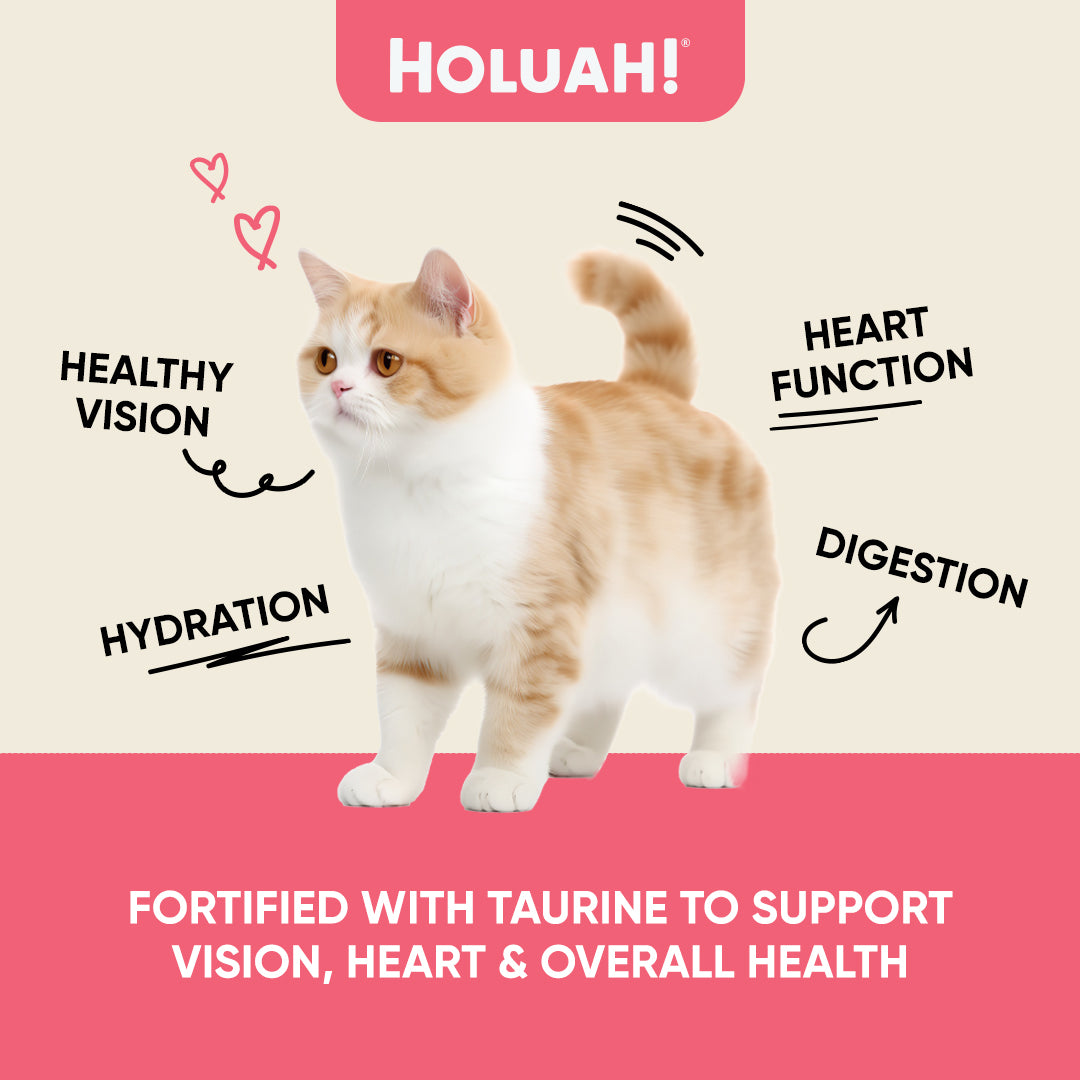 Holuah! Gravy Cat Canned Food 80g – Tuna Recipes