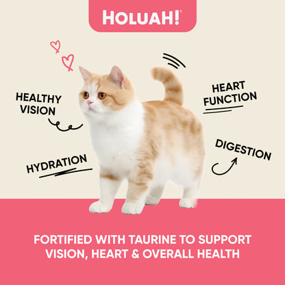 Holuah! Gravy Cat Canned Food 80g – Tuna Recipes