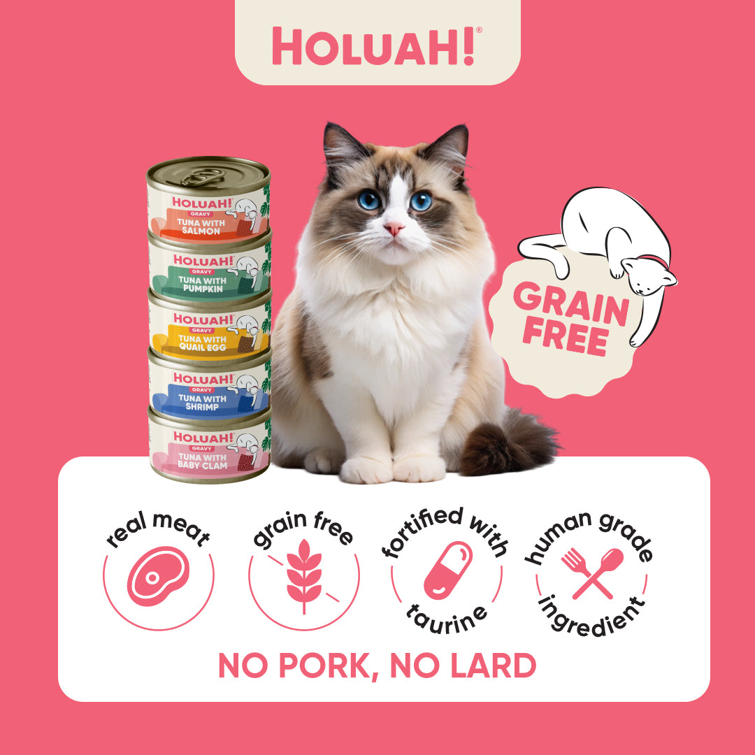 Holuah! Gravy Cat Canned Food 80g – Tuna Recipes