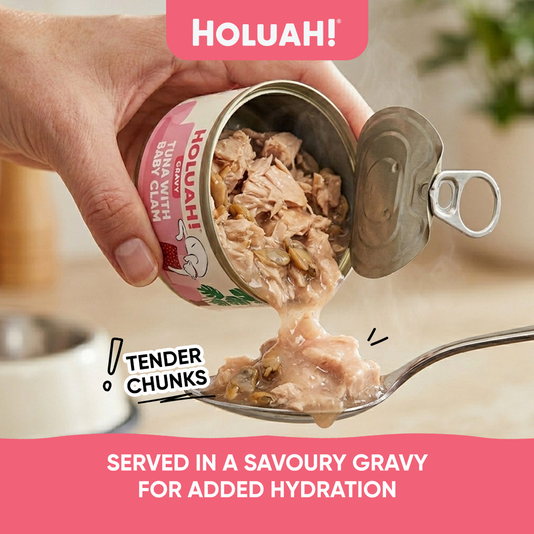 Holuah! Gravy Cat Canned Food 80g – Tuna Recipes