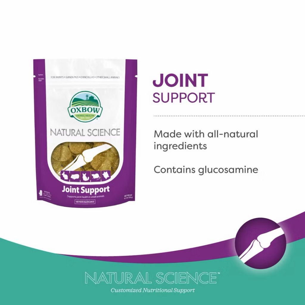 Oxbow Natural Science Supplements for Small Animals