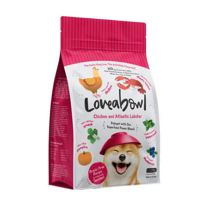 Loveabowl Grain-Free Dry Dog Food 250g – Trial Pack