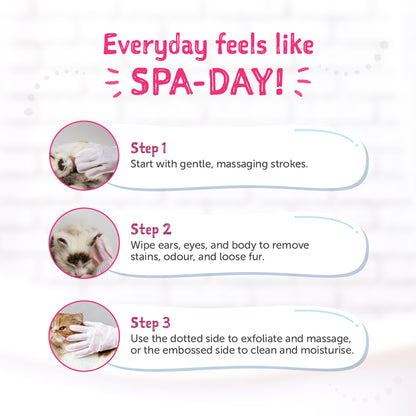 Loveabowl Clean-A-Cat Grooming Gloves