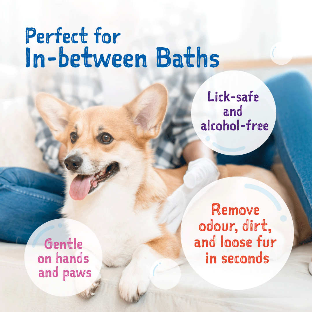 Loveabowl Clean-A-Dog Grooming Gloves
