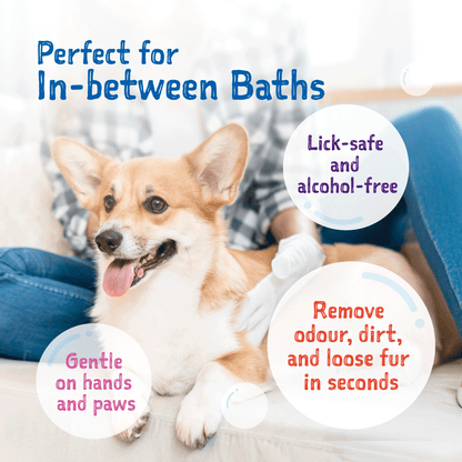 Loveabowl Clean-A-Dog Grooming Gloves