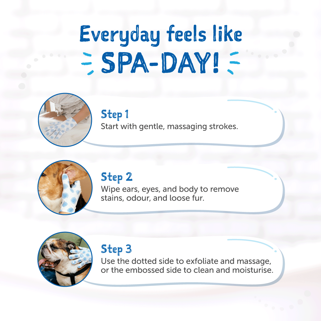 Loveabowl Clean-A-Dog Grooming Gloves