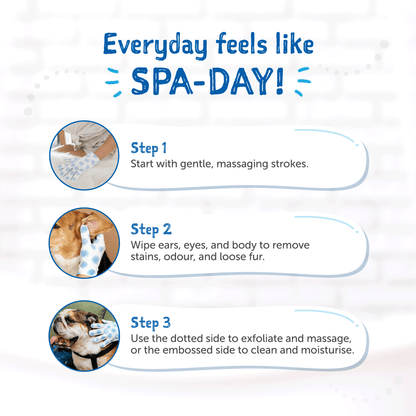Loveabowl Clean-A-Dog Grooming Gloves