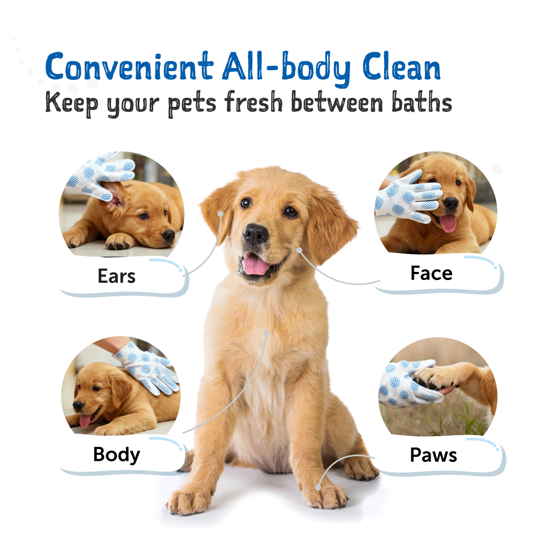 Loveabowl Clean-A-Dog Grooming Gloves