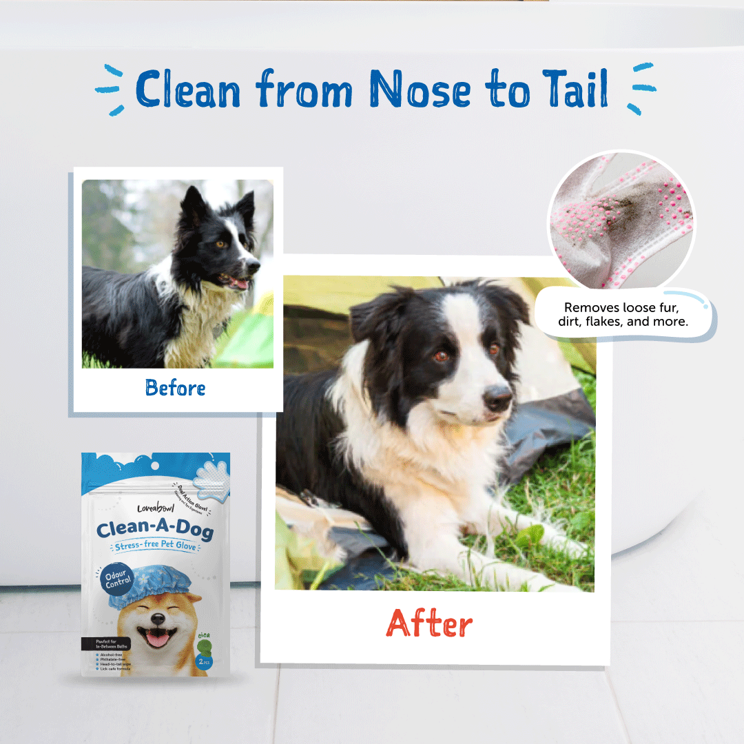 Loveabowl Clean-A-Dog Grooming Gloves