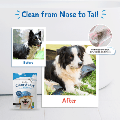 Loveabowl Clean-A-Dog Grooming Gloves