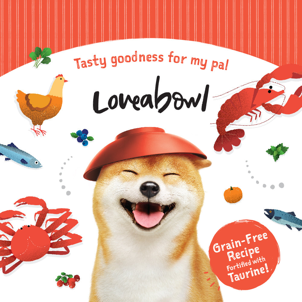 Loveabowl Grain-Free Dry Dog Food 250g – Trial Pack