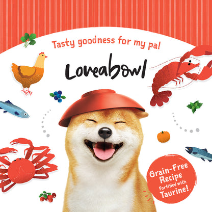 Loveabowl Grain-Free Dry Dog Food 250g – Trial Pack