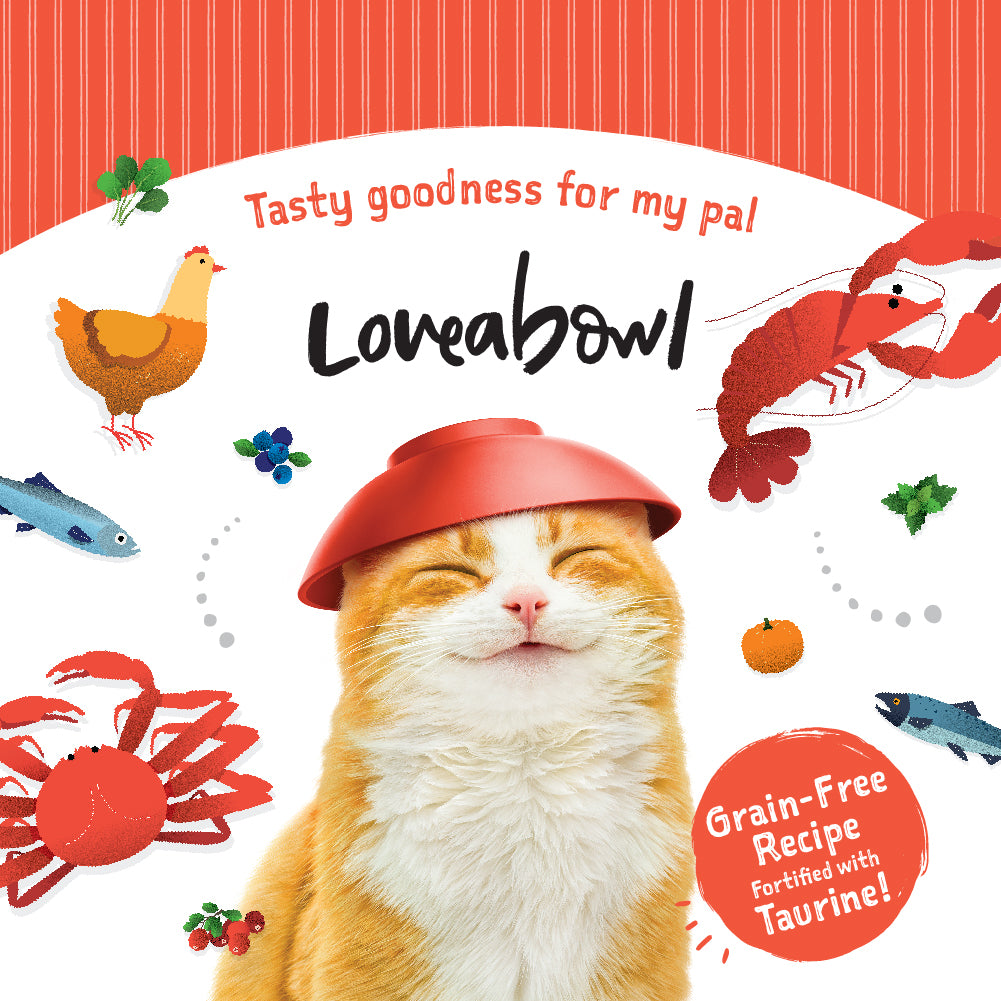 Loveabowl Grain-Free Dry Cat Food 150g – Trial Pack
