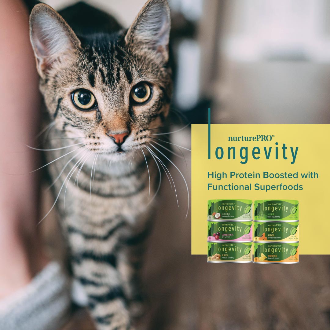NurturePRO Longevity Cat Canned Food