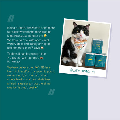 nurture pro™ Kefir 118 Freeze-Dried Probiotic for Cats & Dogs