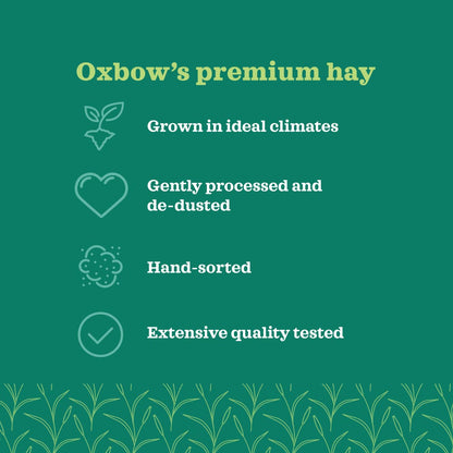 Oxbow Farm Fresh Hay for Small Animals | Timothy, Alfalfa, Oat & Botanical