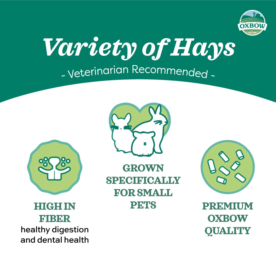 Oxbow Farm Fresh Hay for Small Animals | Timothy, Alfalfa, Oat & Botanical