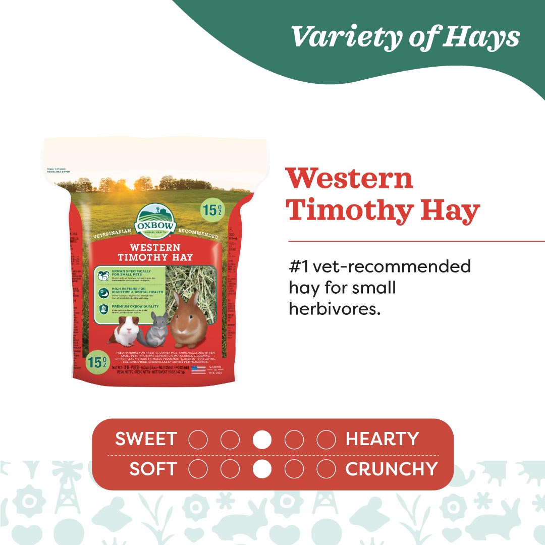Oxbow Farm Fresh Hay for Small Animals | Timothy, Alfalfa, Oat & Botanical