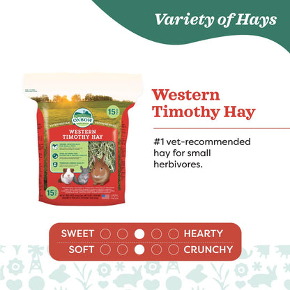Oxbow Farm Fresh Hay for Small Animals | Timothy, Alfalfa, Oat & Botanical