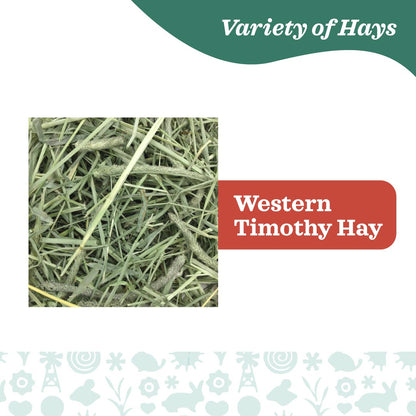 Oxbow Farm Fresh Hay for Small Animals | Timothy, Alfalfa, Oat & Botanical
