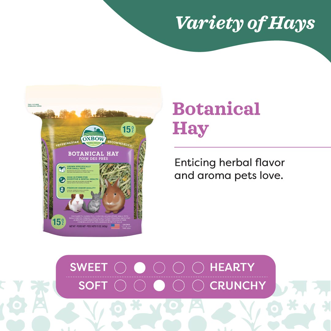Oxbow Farm Fresh Hay for Small Animals | Timothy, Alfalfa, Oat & Botanical