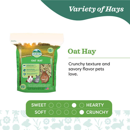 Oxbow Farm Fresh Hay for Small Animals | Timothy, Alfalfa, Oat & Botanical