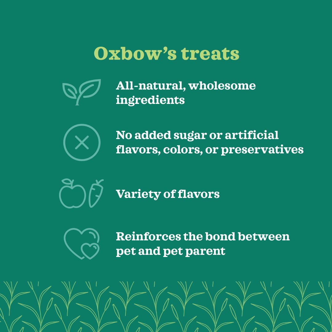 Oxbow Simple Rewards Treats for Small Animals