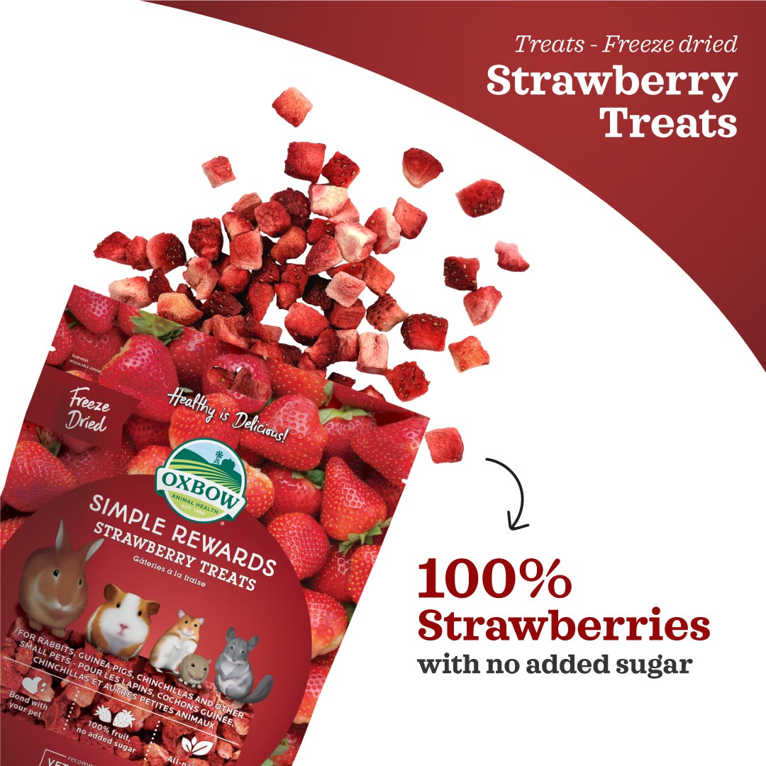 Oxbow Simple Rewards Treats for Small Animals