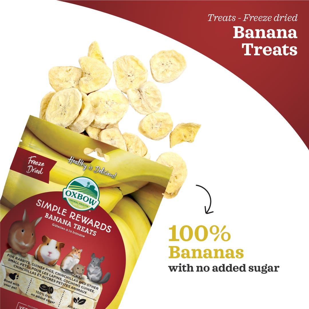 Oxbow Simple Rewards Treats for Small Animals
