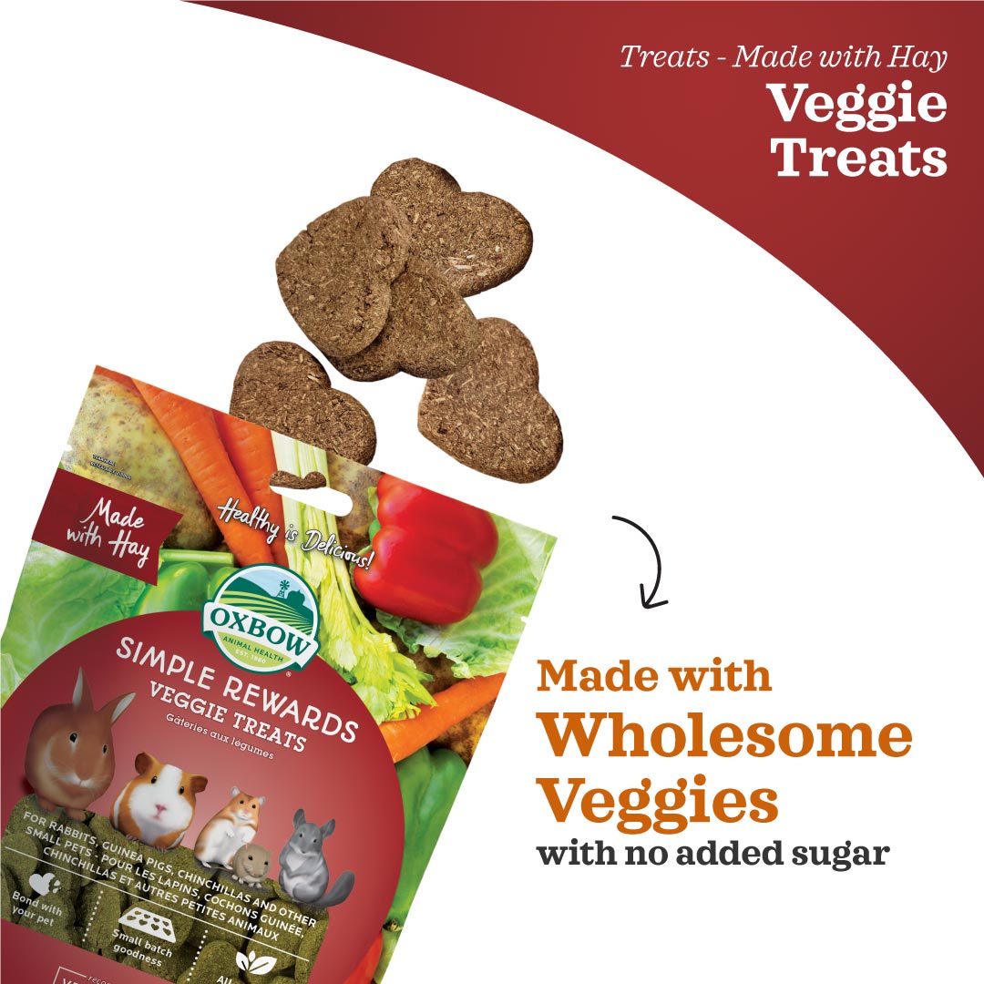 Oxbow Simple Rewards Treats for Small Animals