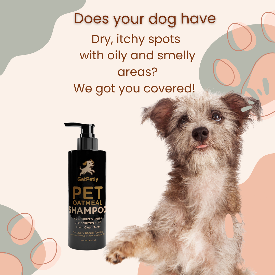 GetPetly Oatmeal Dog Shampoo 500ml