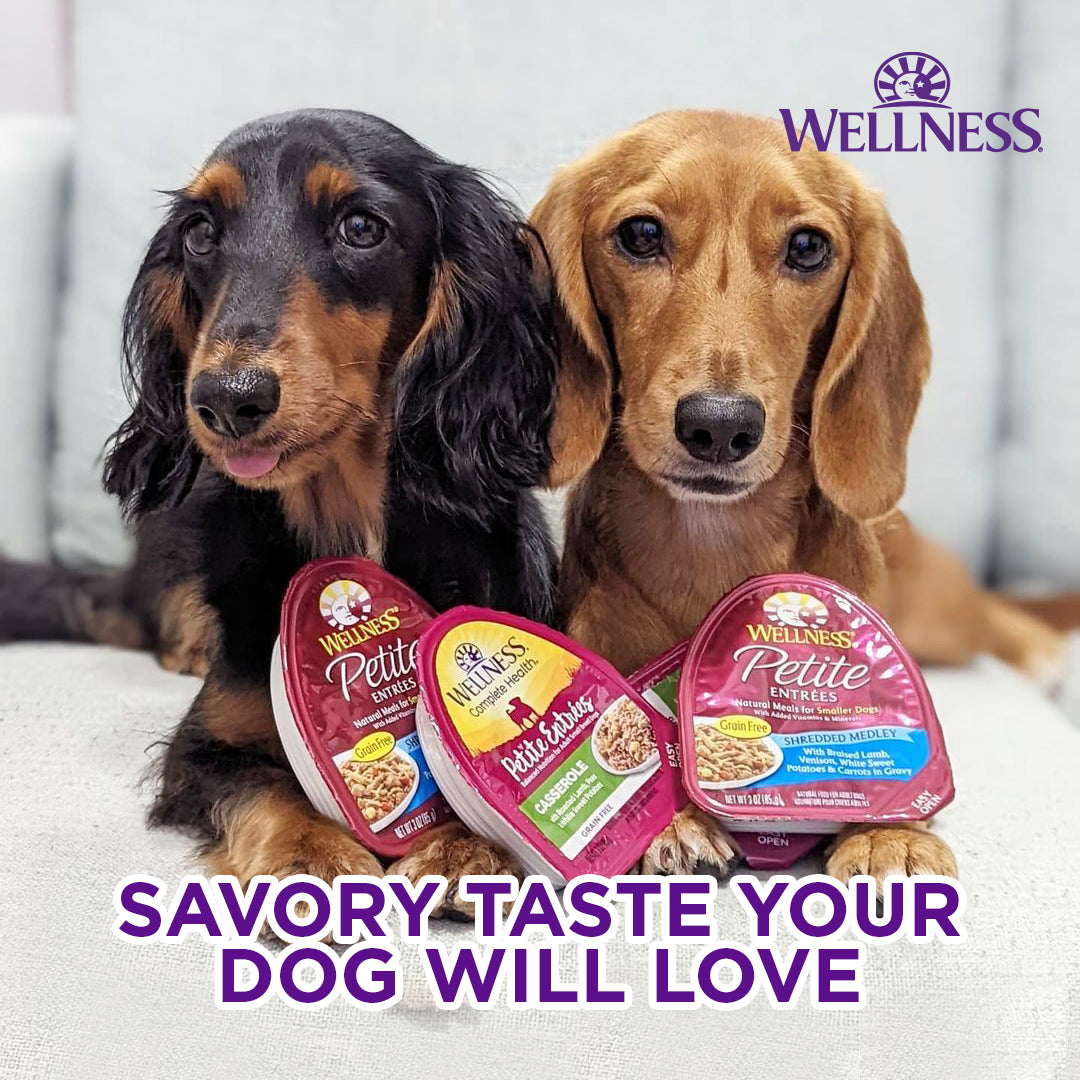 Wellness Petite Entrées Wet Dog Food – 3 oz