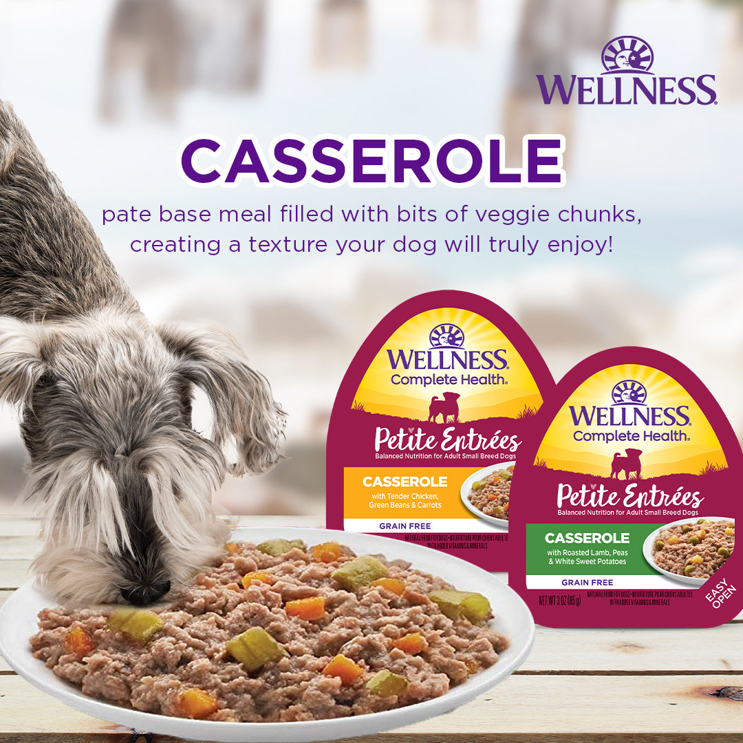 Wellness Petite Entrées Wet Dog Food – 3 oz