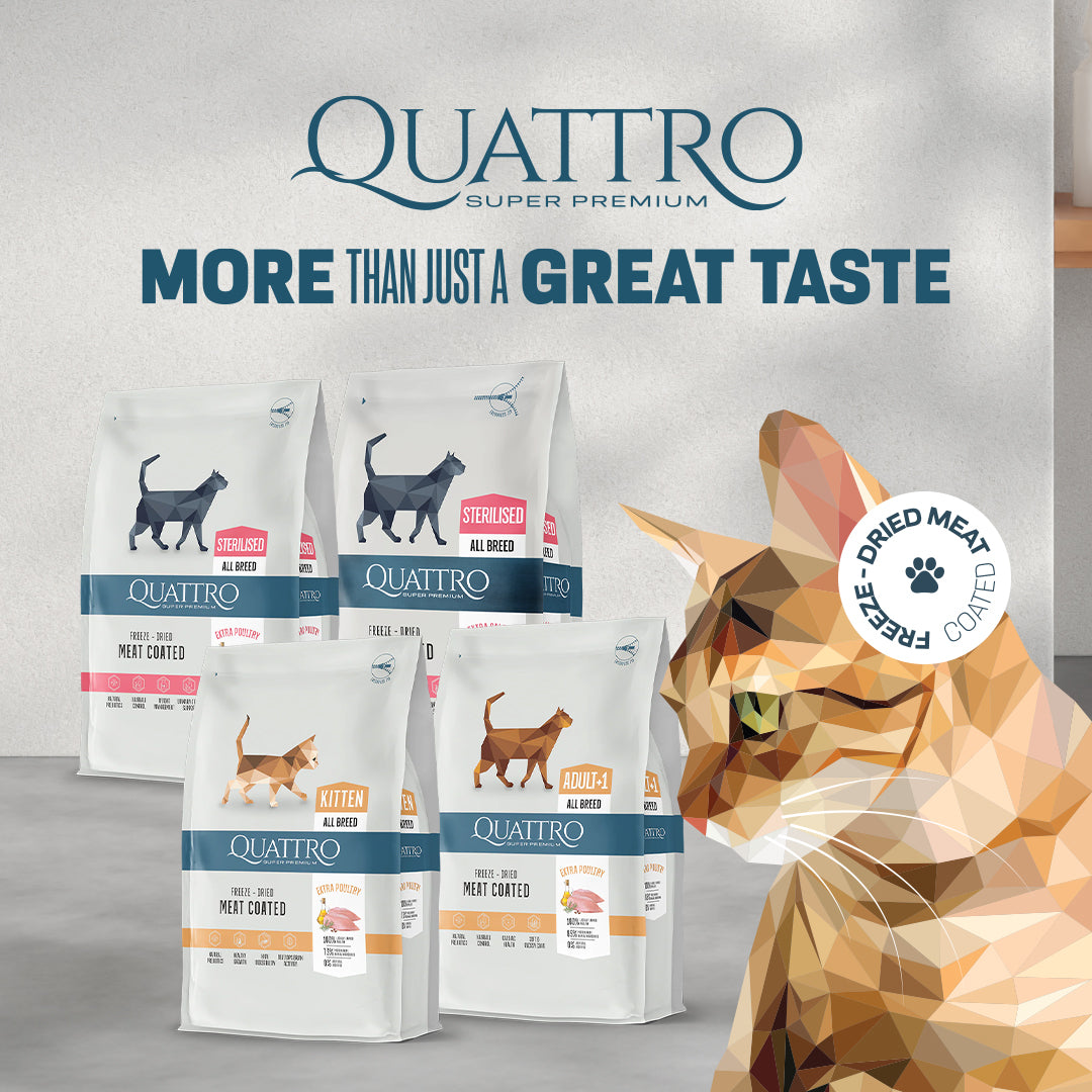 Quattro Dry Cat Food 1.5kg – Freeze-Dried Coated Kibble