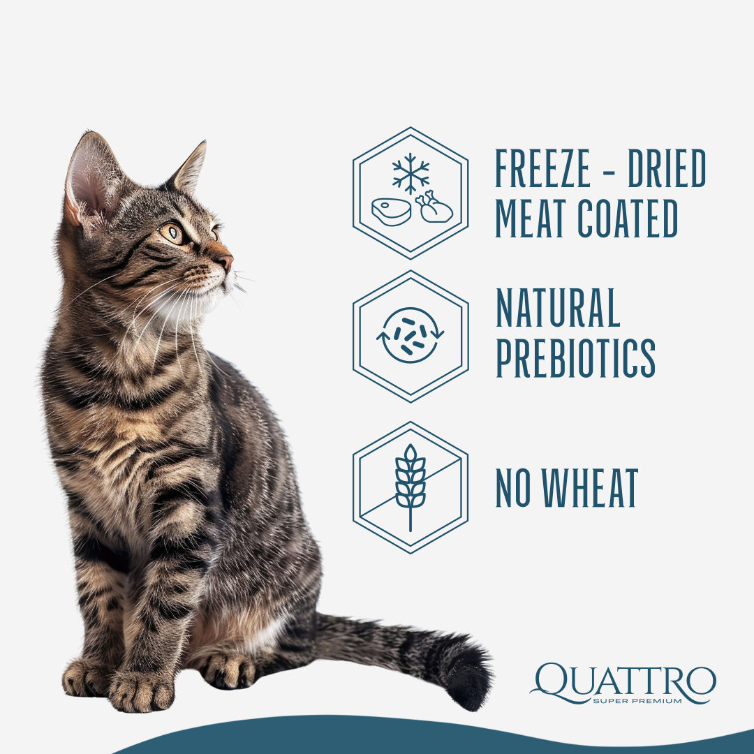 Quattro Dry Cat Food 1.5kg – Freeze-Dried Coated Kibble