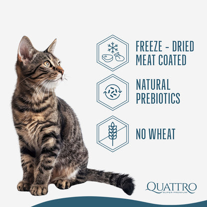 Quattro Dry Cat Food 1.5kg – Freeze-Dried Coated Kibble