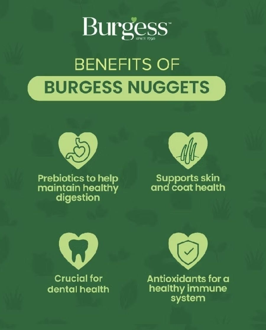 Burgess Excel Adult Rabbit Nuggets with Mint 1.5kg