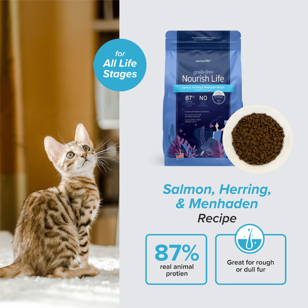 Clearance | NurturePRO Nourish Life Salmon, Herring & Menhaden Cat Food 5kg