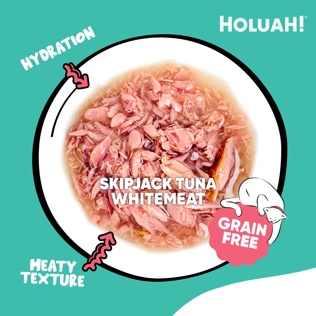 Holuah! Gravy Cat Canned Food 80g – Tuna Recipes