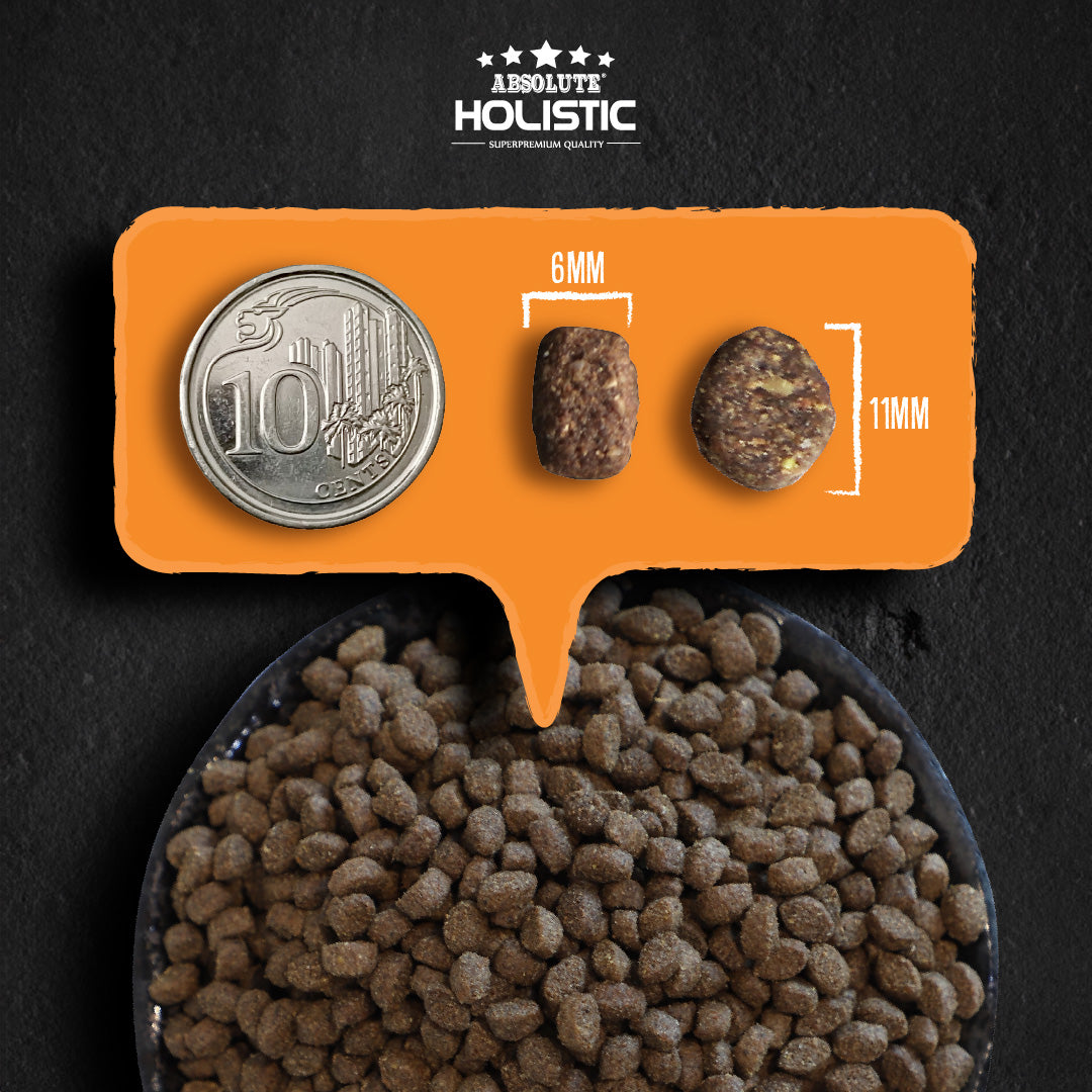 Absolute Holistic Kibbles In The Bag Dog Dry Food – Small Bites