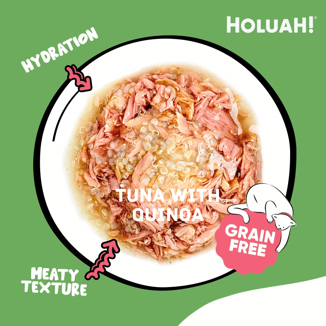 Holuah! Gravy Cat Canned Food 80g – Tuna Recipes