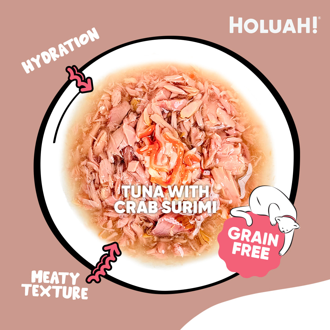 Holuah! Gravy Cat Canned Food 80g – Tuna Recipes