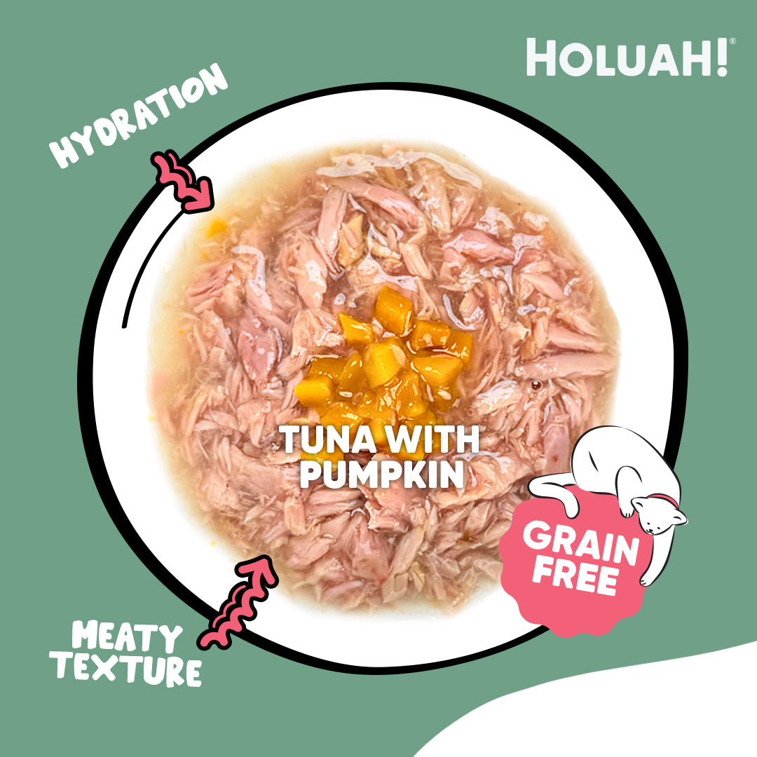 Holuah! Gravy Cat Canned Food 80g – Tuna Recipes