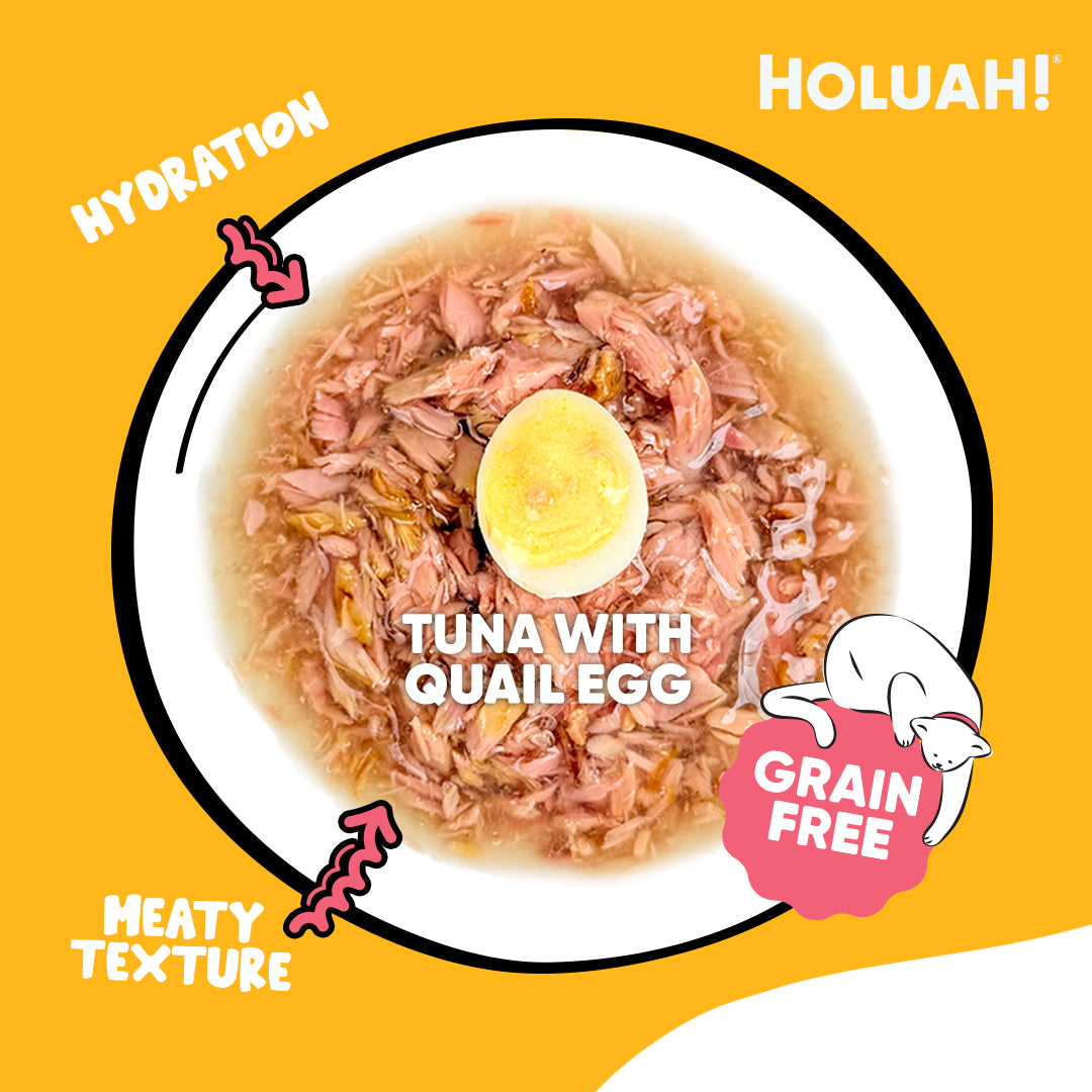 Holuah! Gravy Cat Canned Food 80g – Tuna Recipes
