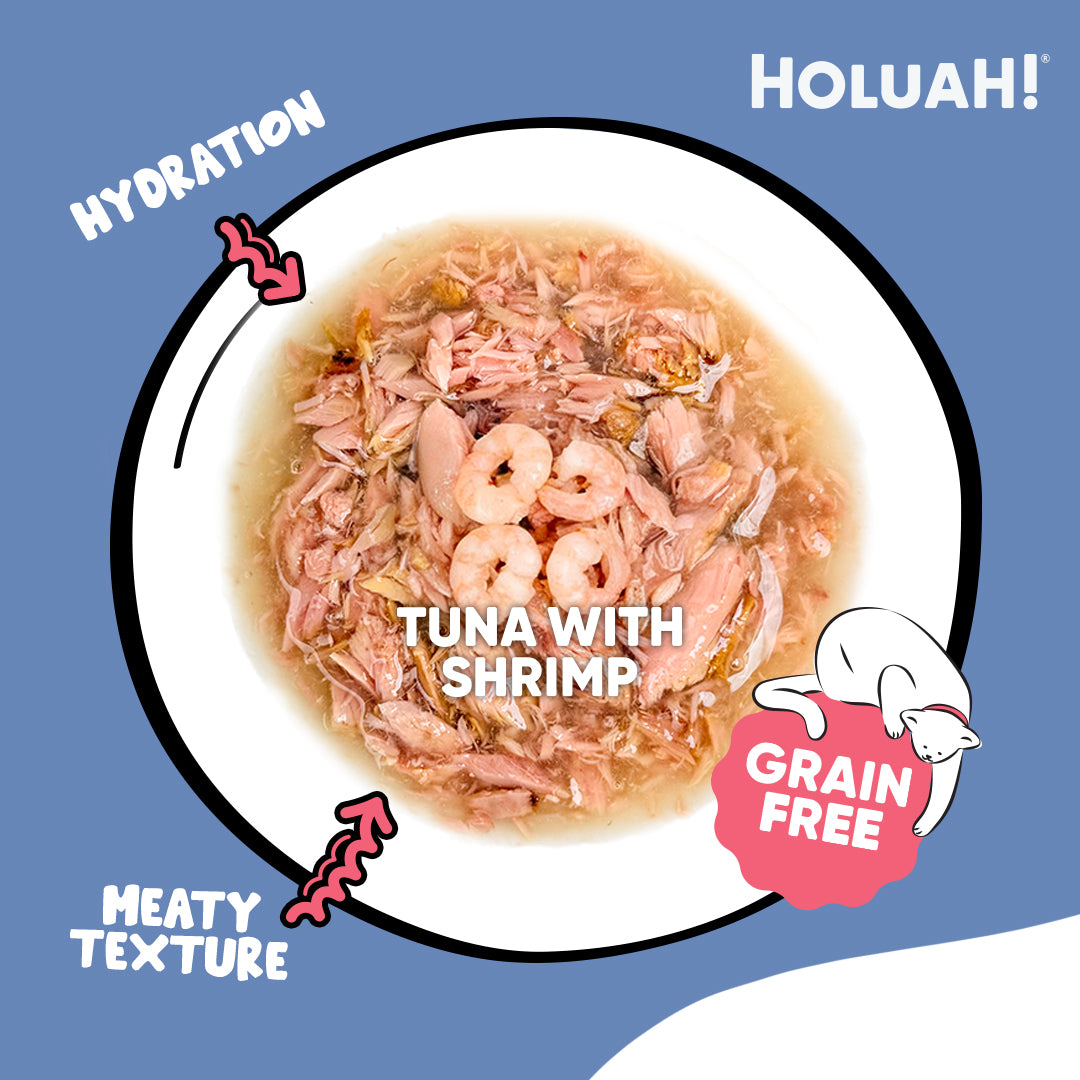 Holuah! Gravy Cat Canned Food 80g – Tuna Recipes